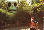skull_small.jpg (3770 bytes)